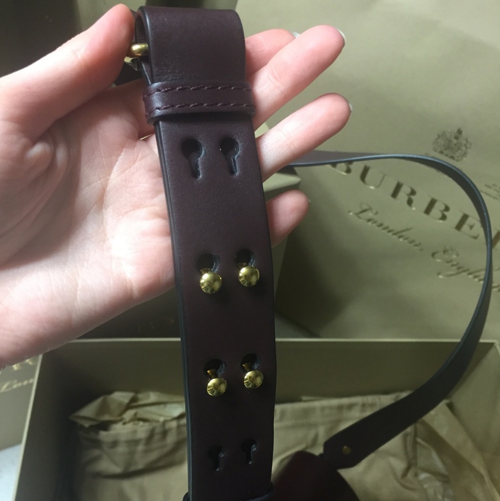 Authentic Burberry Crossbody Satchel - Picture 5 of 7